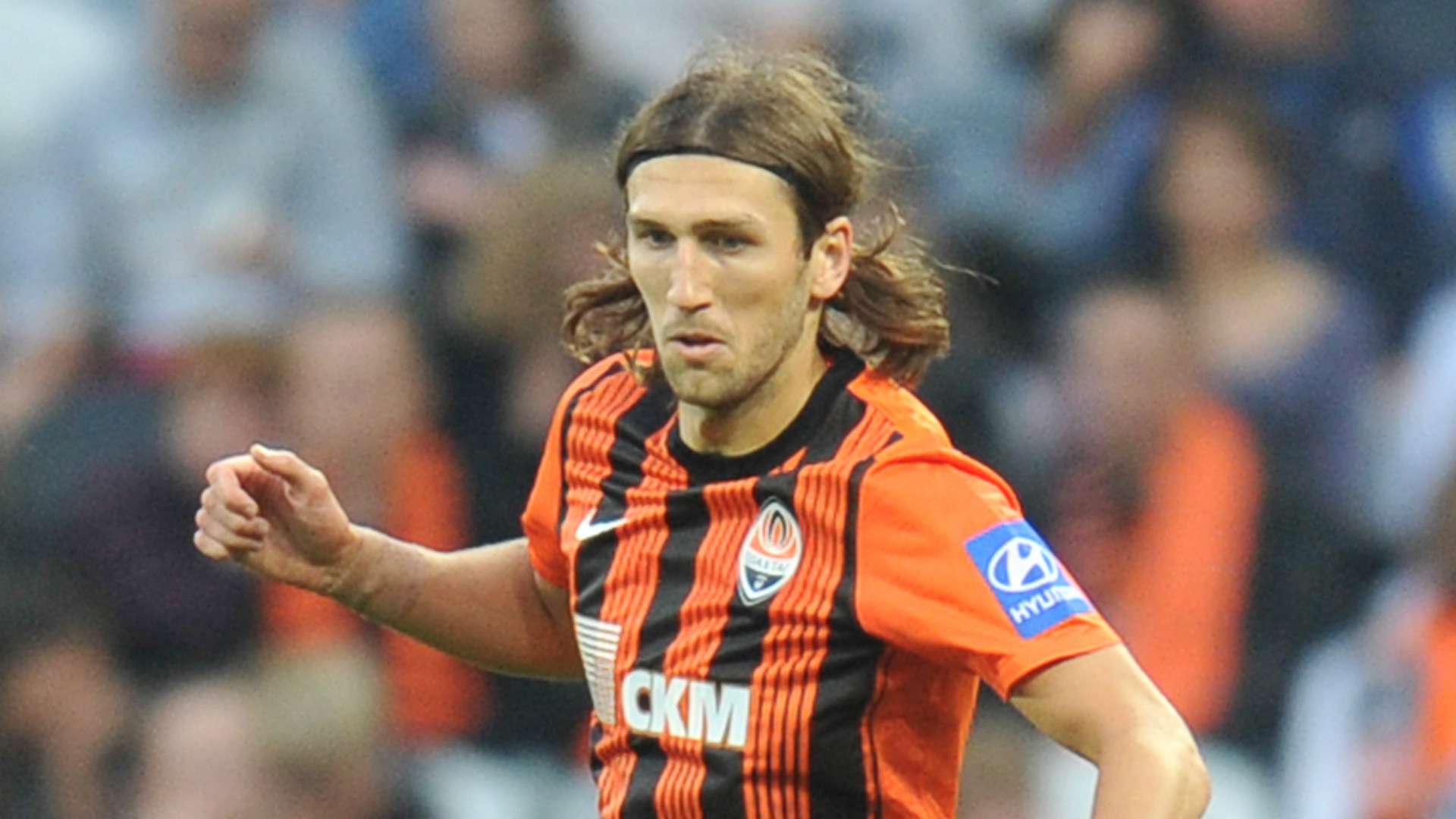 的文化價值 的文化價值